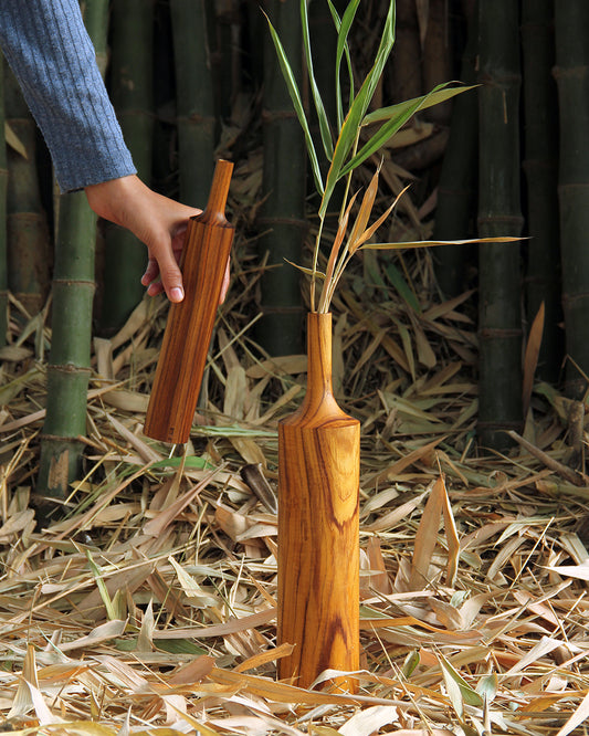 Meagre V01 (set of two)